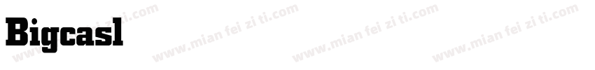 BigcaslonFB Bold字体转换